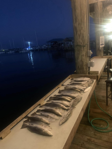 Trout hotspot: Mississippi